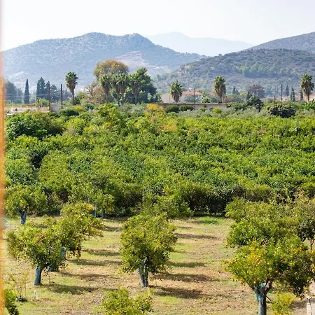 Two Beautiful & 1 Large Patio