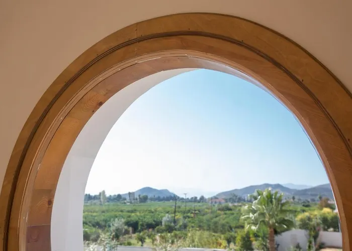 Two Beautiful & 1 Large Patio Drepano (Argolis)